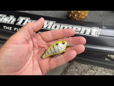 The Frequency of This Crankbait Is Like No Other