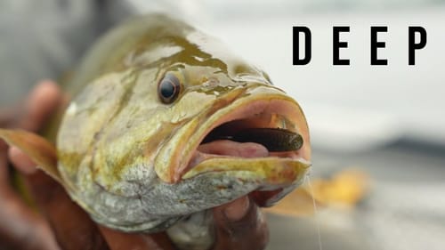 deep summer bass fishing MADE EASY...