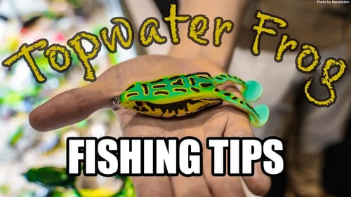 #1 BEST & EASY Frog Fishing BASS Tips
