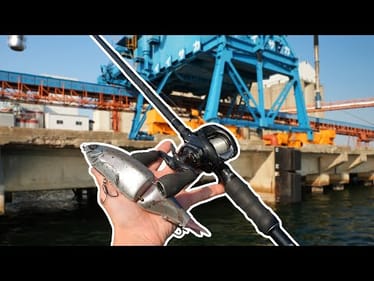 Catching GIANT Japanese Sea Monsters From This Submerged Building!
