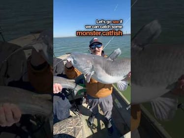 Monster Catfish Caught at Lake LaVon #fishing #catfishing
