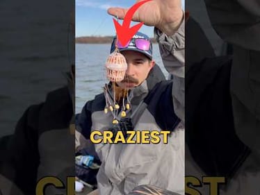 Testing The # 1 Fishing Rig In Asia #fishing #fishingvideos