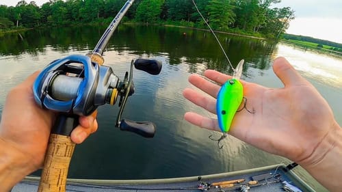 NEW Lake Produces Big Fish On Offshore Brushpiles & Saving Fish From Certain Death