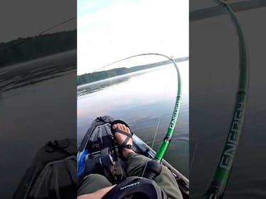 Kayak Angler Catches a BEAVER??!!! 🦫