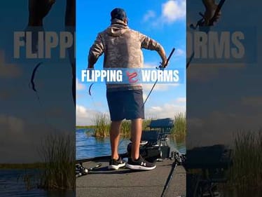 Flipping Worms 🪱 Lake Okeechobee #short #bassfishing #boatfliponly