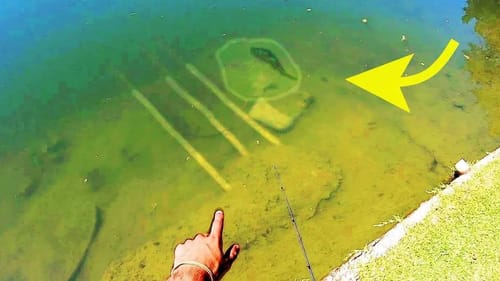CLEAR CITY POND has EPIC SIGHT FISHING!!