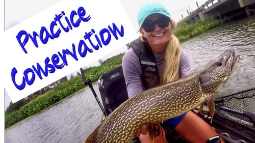 FISHING for pike and musky (HOW TO safely handle)