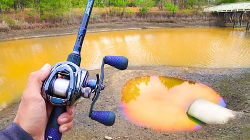 Topwater Fishing DRAINED POND! (Unbelievable)