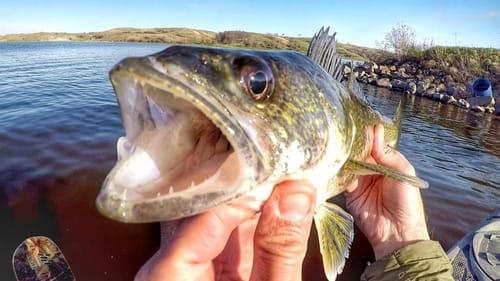Spring Fishing - You Never Know What You Might Catch!