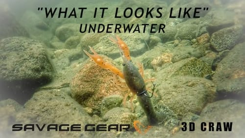 What it Looks Like | Neko Rigging Crawfish Plastics