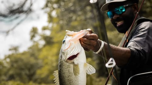 The most versatile lure of ALL TIME