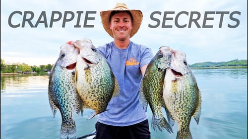 Catching HUGE Crappie In The SPRING TIME! (Fishing DOCKS)