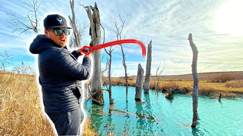 There's MONSTER FISH Lurking in this TINY Pond!!! --Surprising Day BANK FISHING