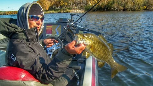 Proven Method for Hand Landing Bass