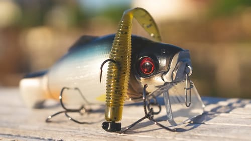 Summer Bass Fishing Buyer's Guide
