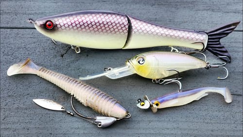 These Fall Mistakes Are Costing You Fish! (And How To Change Them)