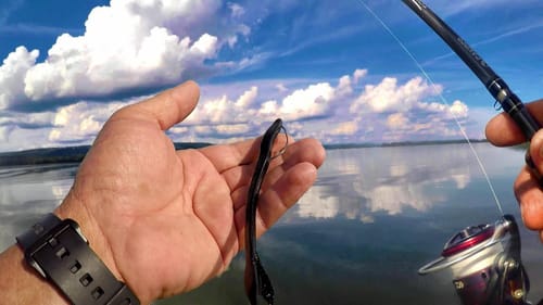 Catch LOADS Of Bass ALL Day Long With These SIMPLE Techniques
