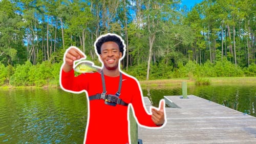 Catching MONSTER FISH Using LIVEBAIT (Food Chain Callenge)