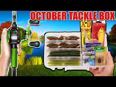 I Built the ULTIMATE October Fishing Tackle Box!
