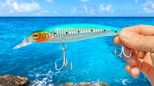 Lure Fishing for Giant Fish