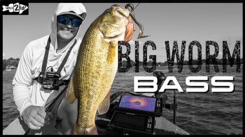 Summer Bass Fishing with Plastic Worms on the Tokyo Rig