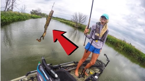 BIG baits LITTLE creek (BIG PIKE)