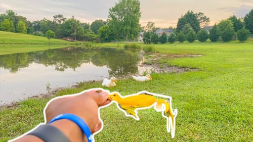 DOES A TOPWATER DUCK LURE WORK???