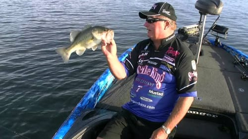 Denny Brauer and Keeping a jig in the strike zone