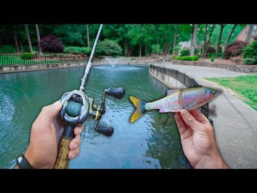 Fishing HIDDEN Urban PONDS For Aggressive BASS! (Bank Fishing)