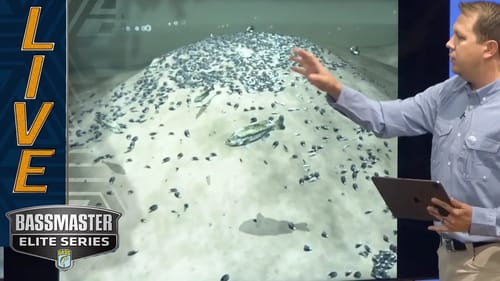 PICKWICK: Breaking down a Tennessee River ledge and why fish hold there