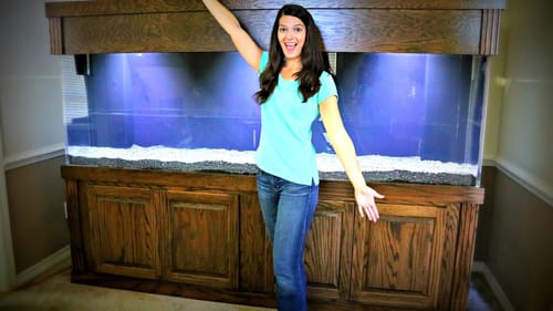 OUR NEW 300 GALLON AQUARIUM!!