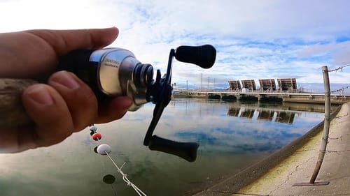 Quick Limit on the California Aqueduct