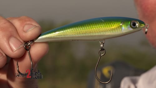 Saltwater Lures That Are Dynamite Bass Baits