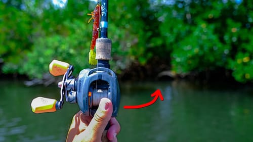 You Always Catch Fish Here! + Big News On My New Boat!