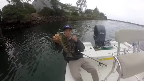 Catching Spotted Bay Bass Ft Chris Purcell, Phoenix Pichner