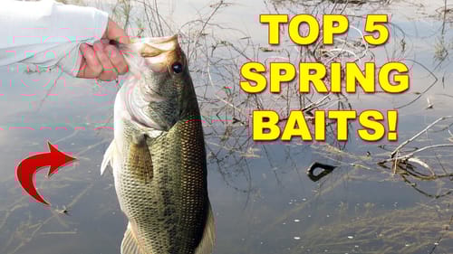 5 Best Lures For Spring Bass Fishing | How To | Bass Fishing