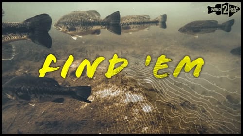 Where to Find Prespawn Bass After Cold Fronts