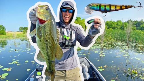 Topwater Bass Fishing | Post Spawn CRUNCHING!