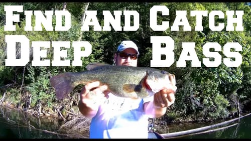 Find and Catch Deep Bass