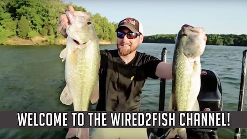 Welcome to the Wired2fish YouTube Channel!