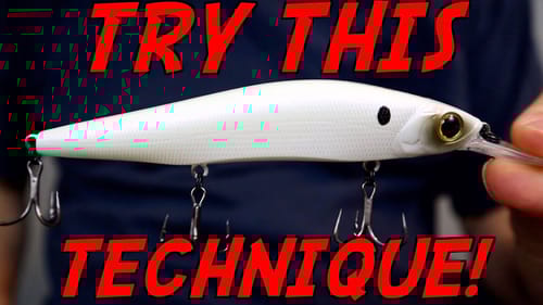 The BEST Winter Bass Fishing Technique!