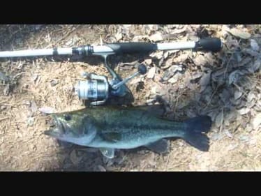 Early Spring Bass Fishing