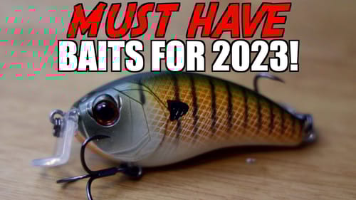 5 MUST HAVE Baits for 2023!