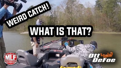 A weird catch! What is that?!?