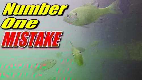 No1 Mistake Anglers Make Cranking