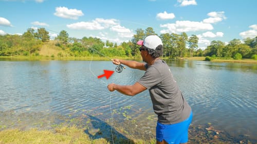 Fly Fishing My Favorite Bass Pond