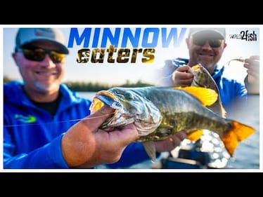 Clausen's Guide to Fishing the Z-Man Graph ShadZ