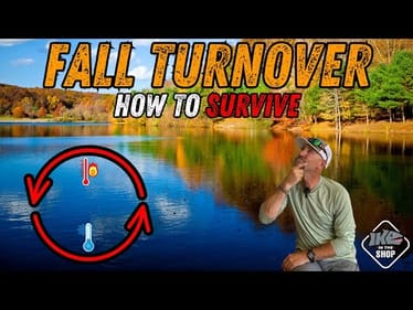 5 Proven Ways to Catch Bass During Fall Lake Turnover! (How to SURVIVE!)