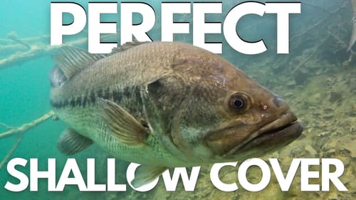 HIDDEN Secrets to the Perfect Shallow Cover for Bass