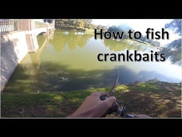 How to Fish Squarebill Crankbaits for Bass